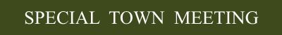 Special Town Meeting