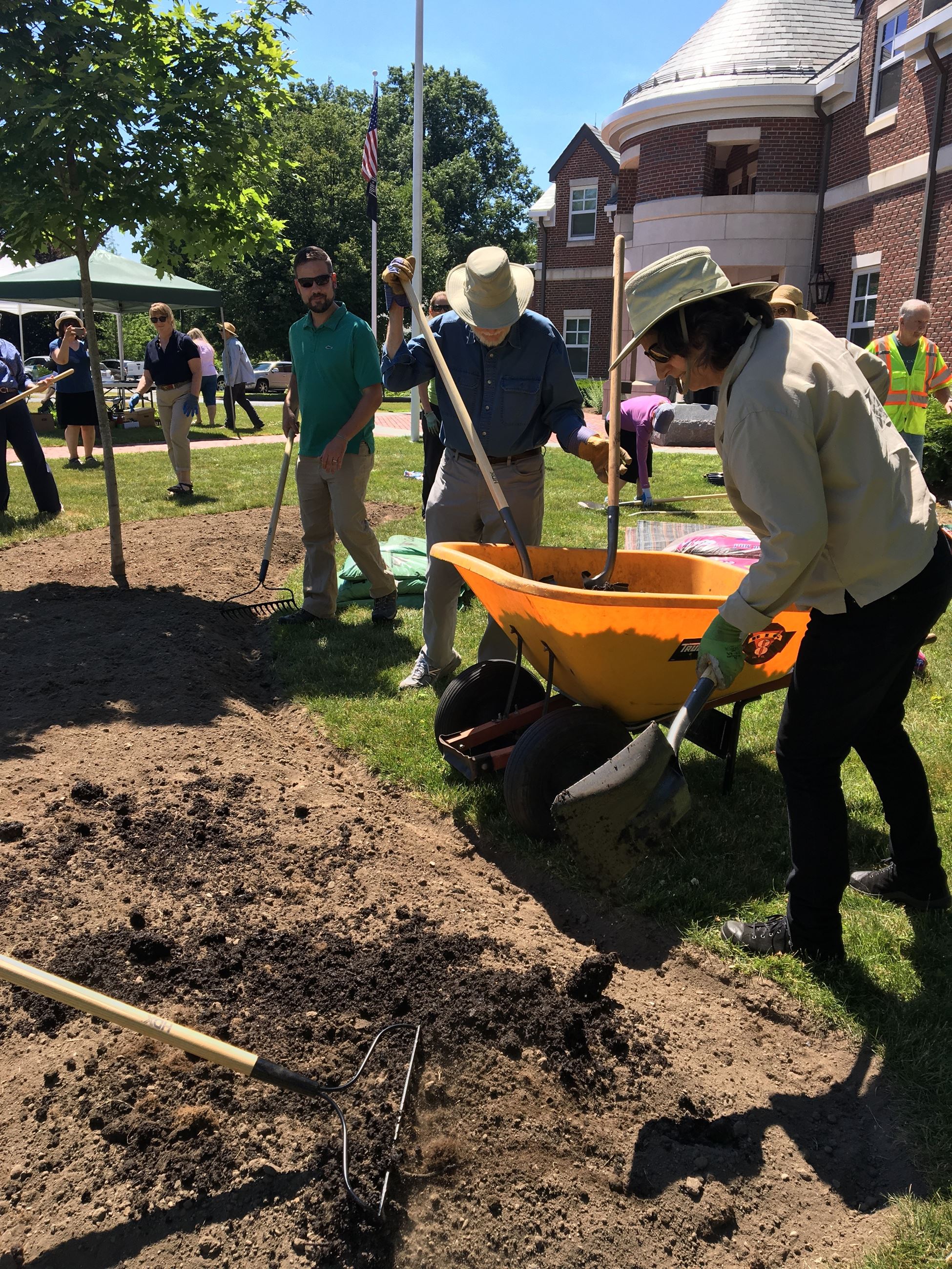 Pollintor_Olney.planting