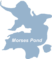 Morses Pond Watershed Outline