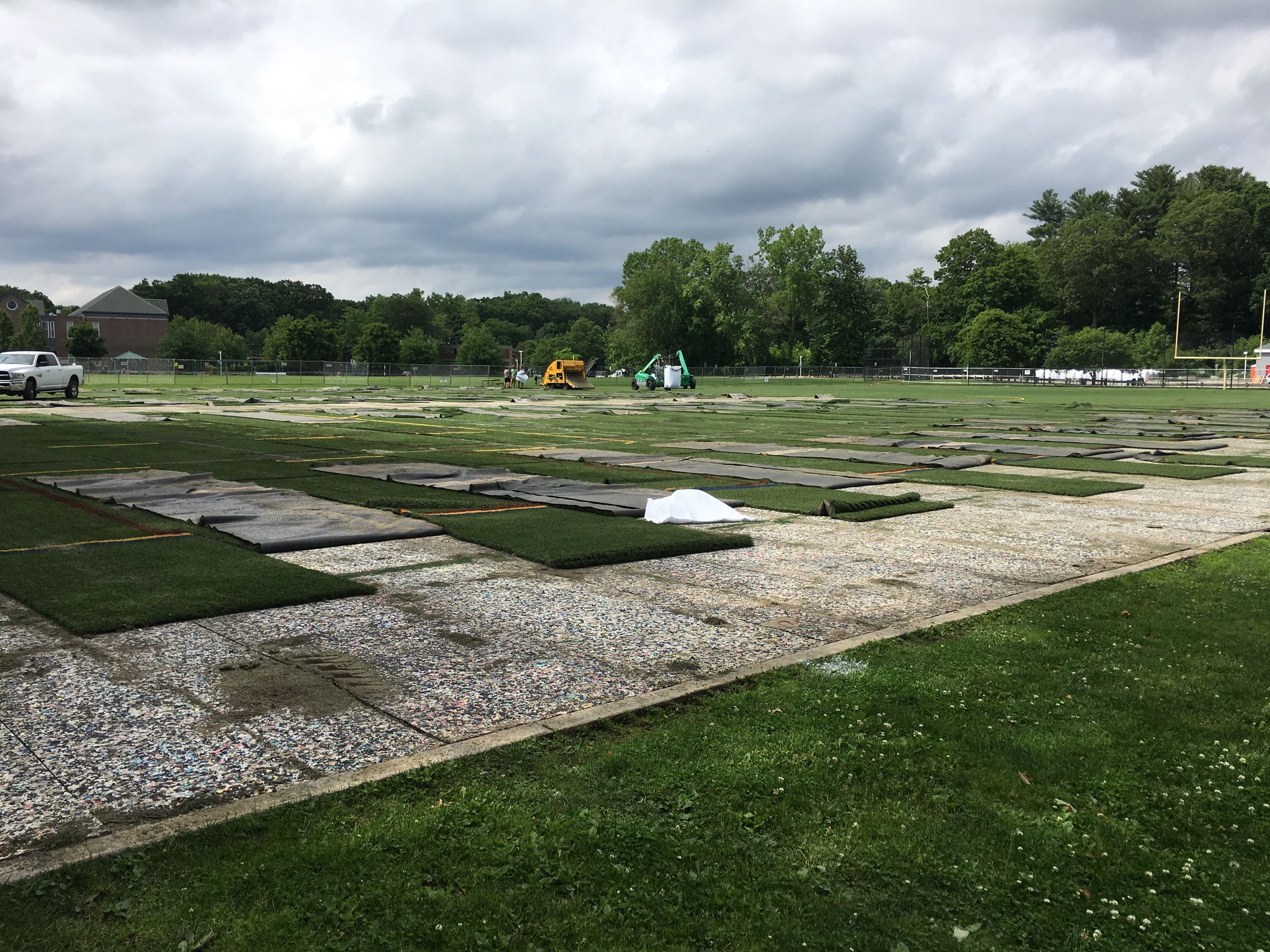 Old Synthetic Green Turf (figure 3)