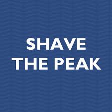 Shave the Peak energy reduction image