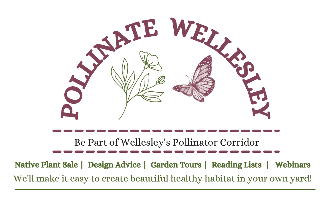Pollinate Wellesley