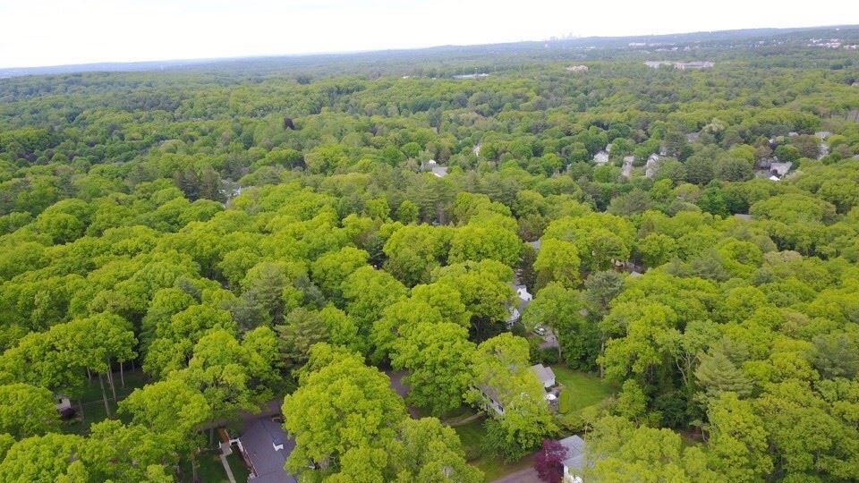 Credit Michael Tobin