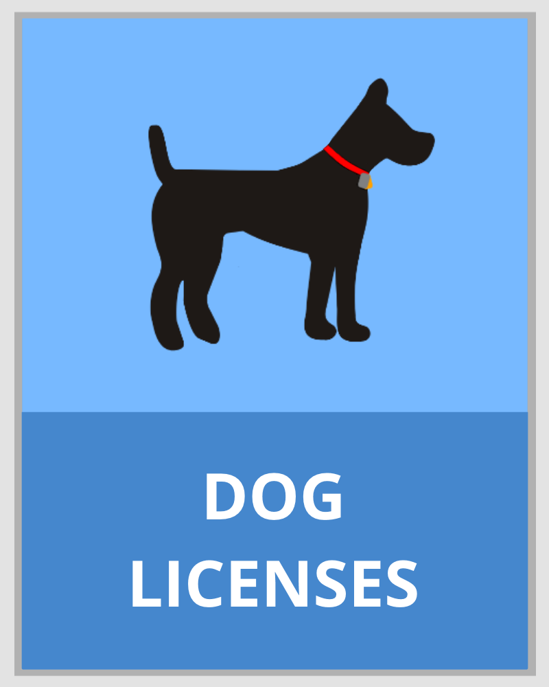 Dog Licenses