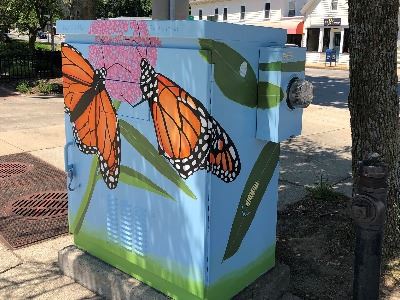 Utility box.art.wellesley hills