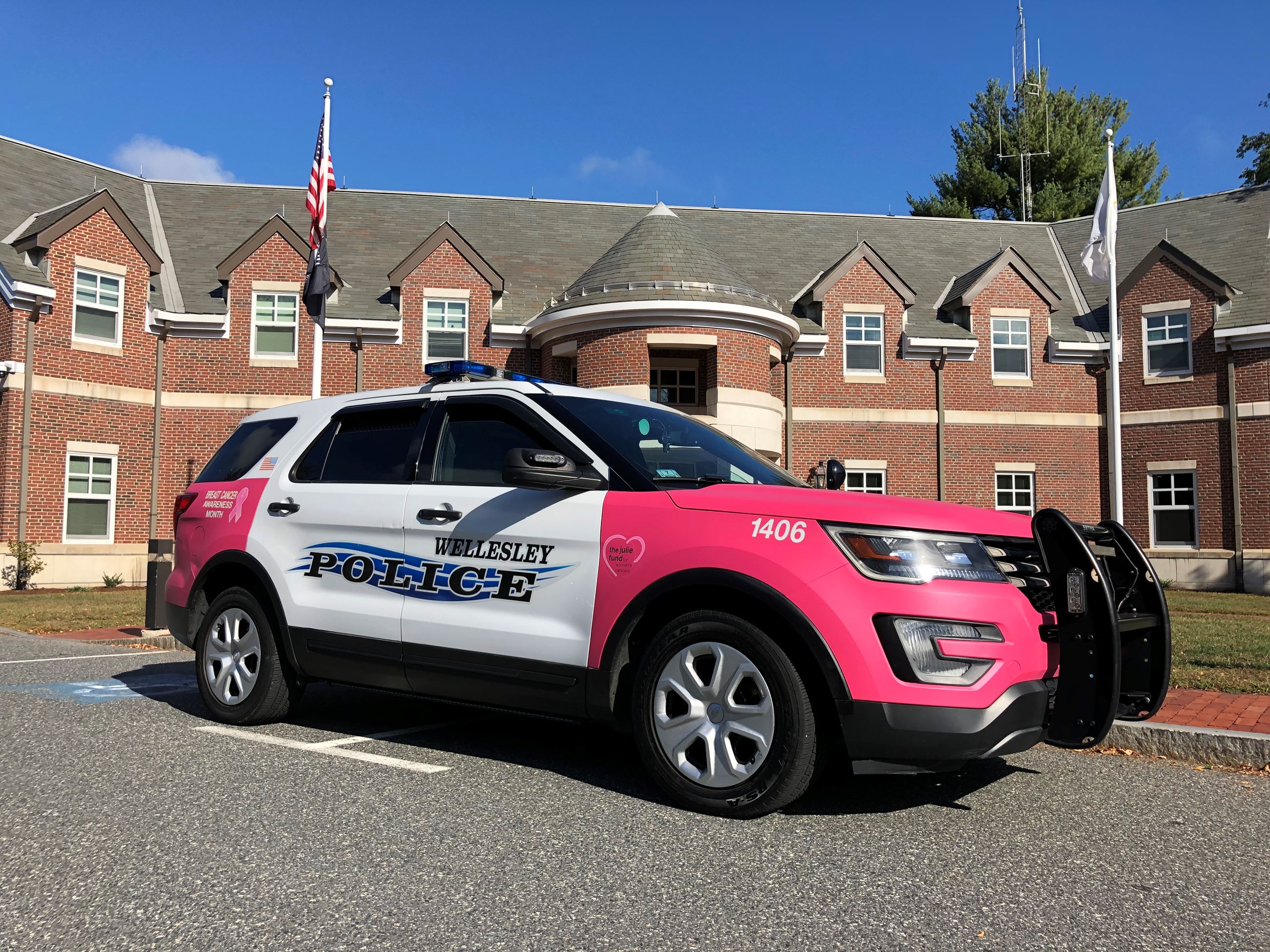 WPD Pink 1406 Cruiser