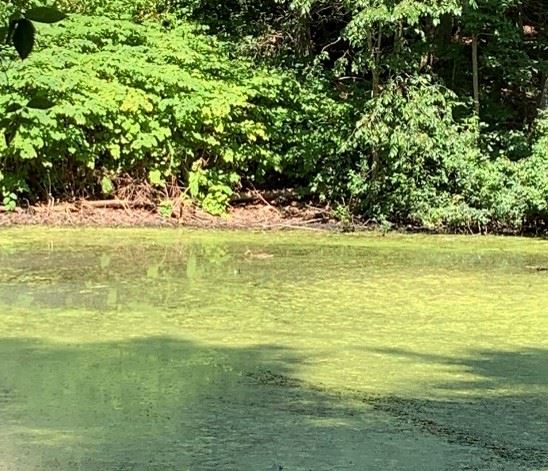 additional pollutant controls