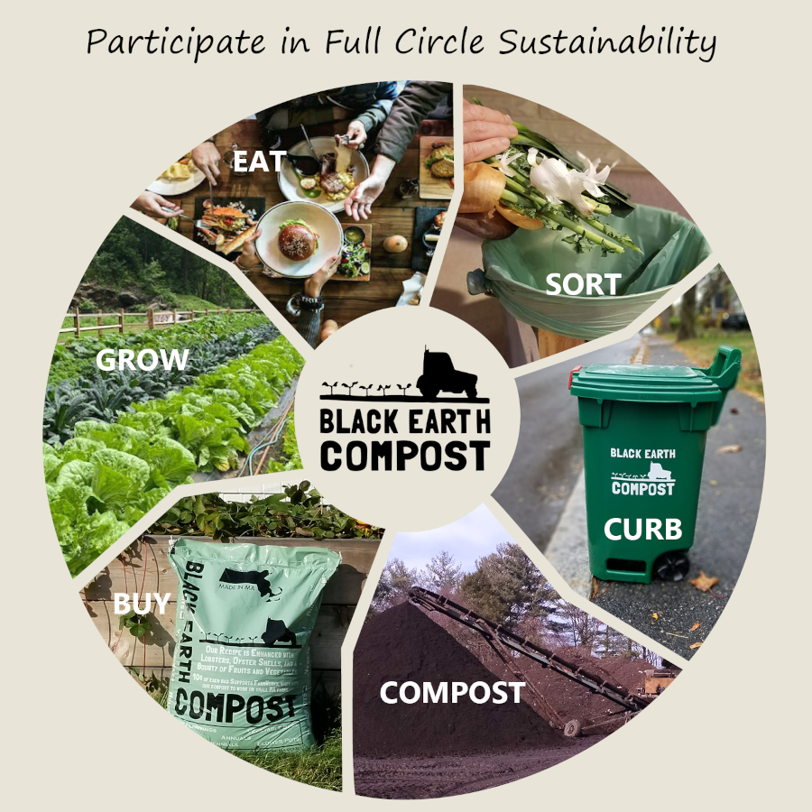 bec_full_circle_sustainability